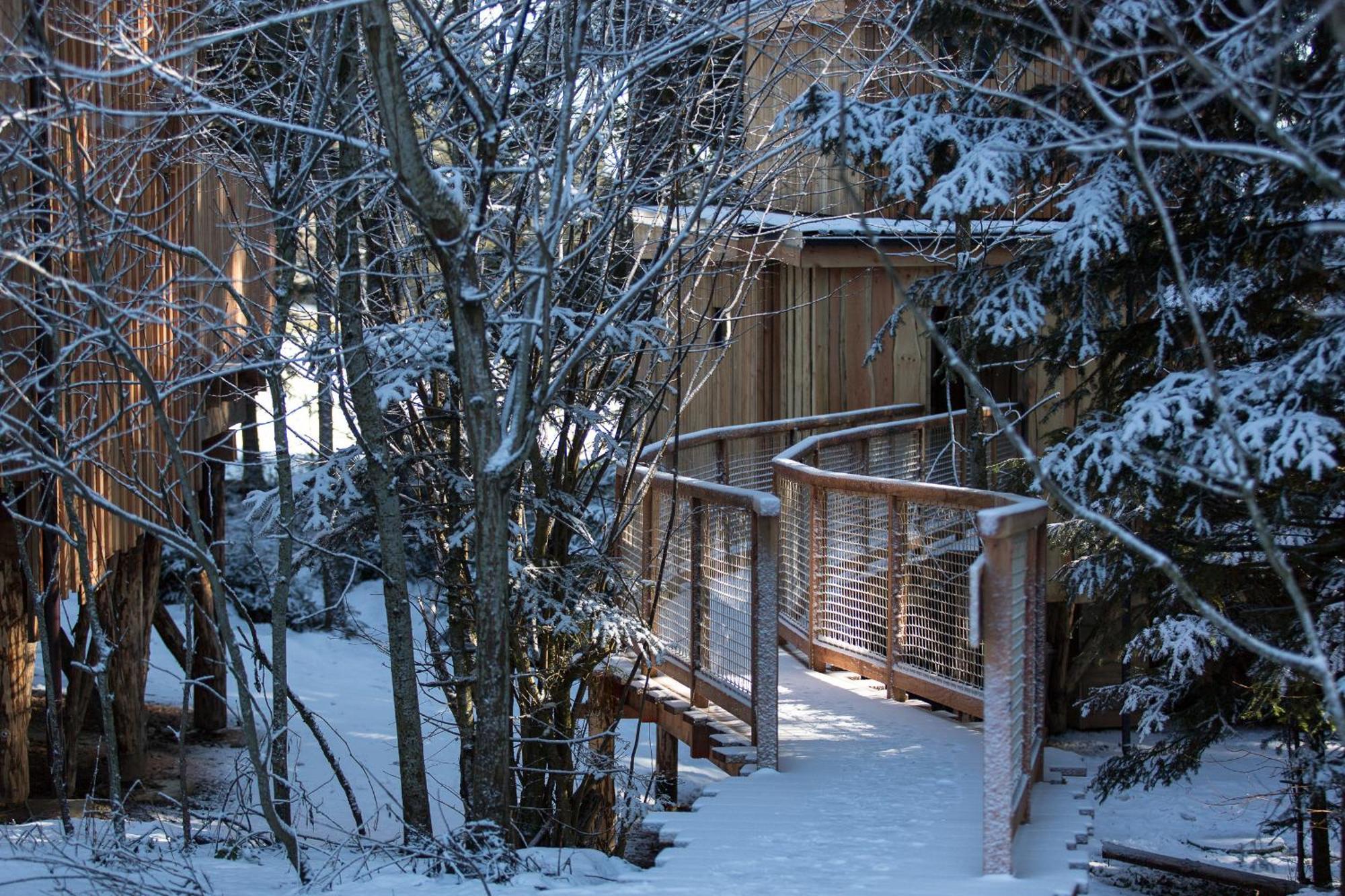 Domaine De L'Authentique Cabanes Dans Les Arbres Fournet-Blancheroche 部屋 写真